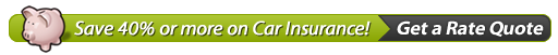 Rosenberg Texas car insurance agent